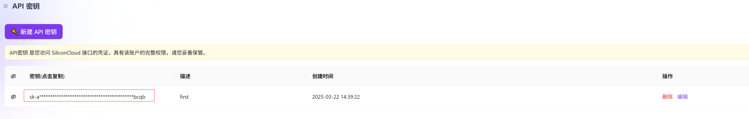 复制出来API Key